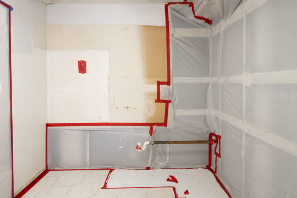 Best Crawl Space Mold Remediation  in Los Chaves, NM
